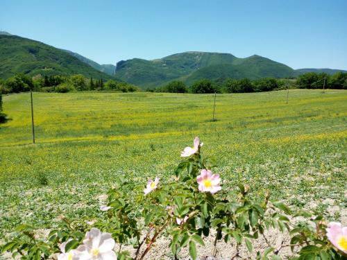 Agriturismo del Frontino - Ca' Benvenuto