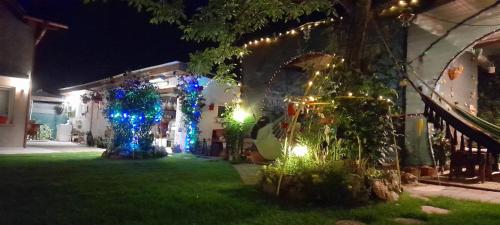 景觀, Casa Marinela in 奧拉迪亞城中心