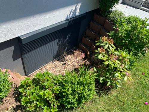 Appartement "Buddha" Appartement "Buddha"