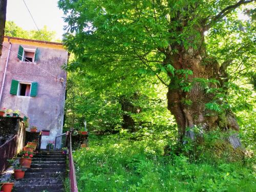  SINGLE HOUSE IN THE GREEN WILD! Casa Karmel in 40046 Molino del Pallone
