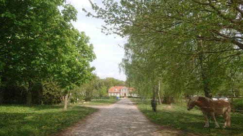 Ferienwohnung am Gutshaus Pamitz