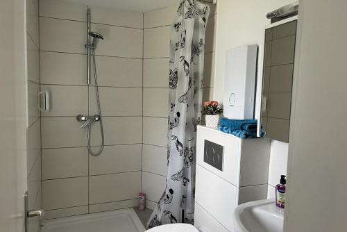 Private Room with own bathroom, Hannover (photo 4)