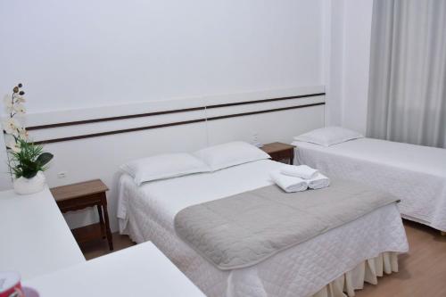 Avenida Hotel in Sao Lourenco Do Oeste