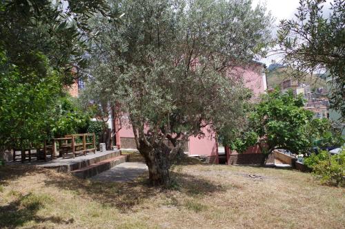 Villa Arieta - Accommodation - Verbicaro