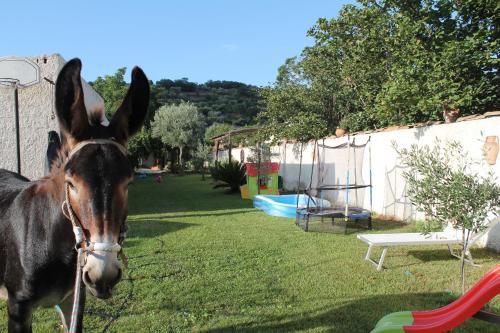 Casa Vacanze Borgo Borghese