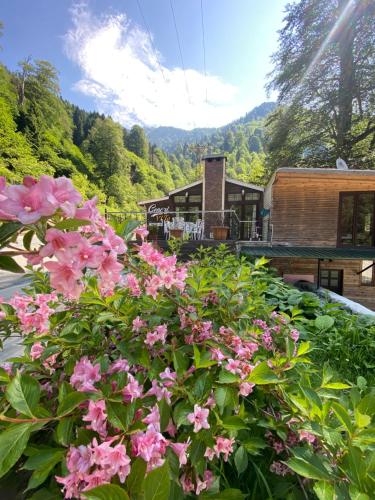 Ayder Gencal Villa – khách sạn tại Yukarisimsirli Köyü