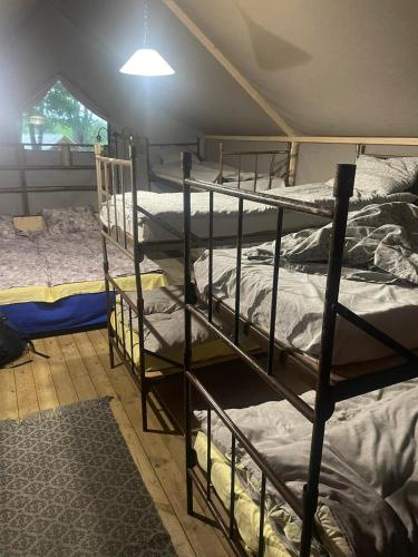 Torma Puhkemaja ja Glämping Torma Puhkemaja ja Glämping