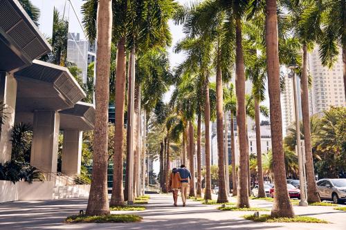 Four Seasons Hotel Miami