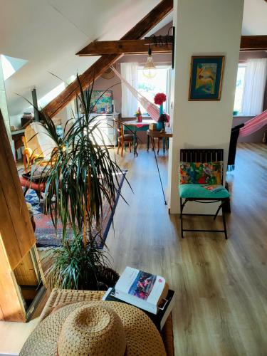 chambres d'hotes " Le Magnolia " in Sainte-Croix-aux-Mines