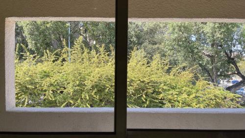 Studio Cocooning hauteur de Saint-Raphael in Saint-Raphael