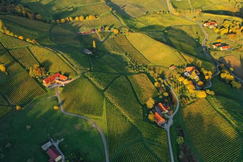 WURZENBERG Hotel Lodges Südsteiermark - image 13