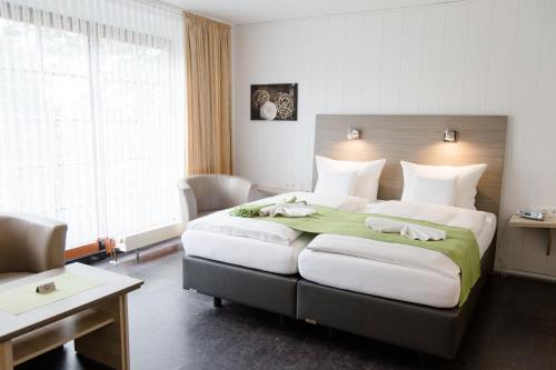 Friesen Hotel - image 3