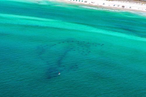 Gulf View 224 by RealJoy Vacations - image 12