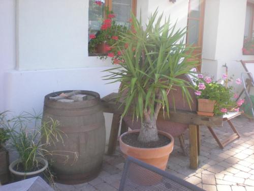 balkon/terras, Le Pressoir des 4 Saisons in Berrwiller