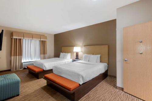 Best Western Plus DFW Airport Suites - image 3