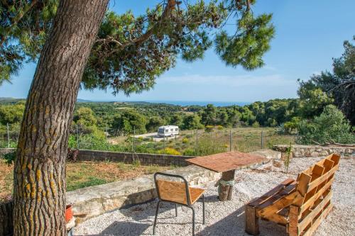 Pine tree Apartment & sunset by "elite" Pine tree Apartment & sunset by "elite"