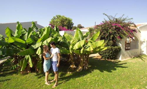 The Olive Tree Hotel - image 12