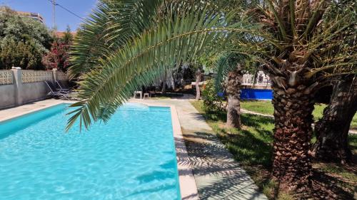 House with exclusive pool and garden 7 min walk from the beach and the center gîte à louer el Campello