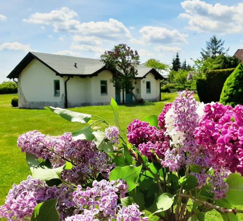 Pension Landhaus Teichgraf