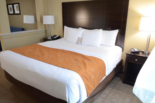Comfortable mattresses