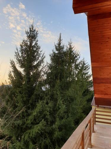 Casa Alin Poiana Mărului (Casa Alin Poiana Marului) in Turnu Ruieni