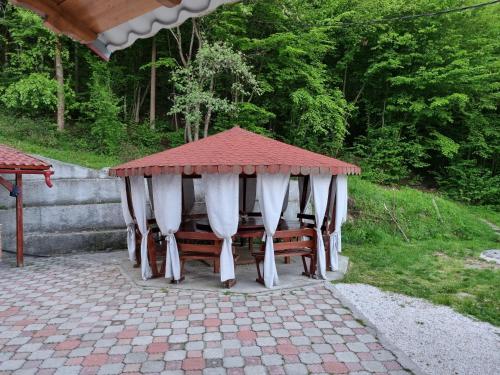 Casa Alin Poiana Mărului (Casa Alin Poiana Marului) in Turnu Ruieni