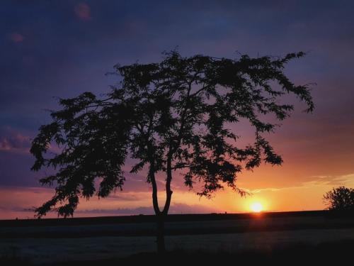 REȘEDINȚA PRINȚESELOR REȘEDINȚA PRINȚESELOR