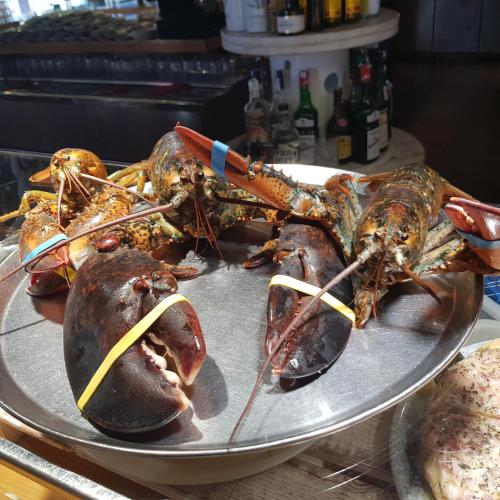 餐厅, El Hostel & CO in 桑坦德