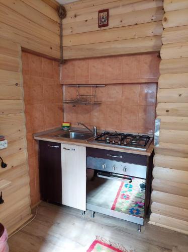 Cabana Dochita in Čelau