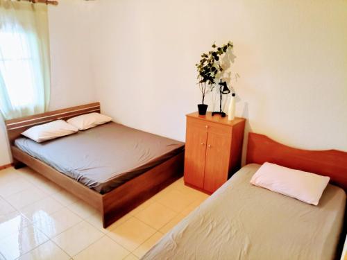 Green Vila Green Vila