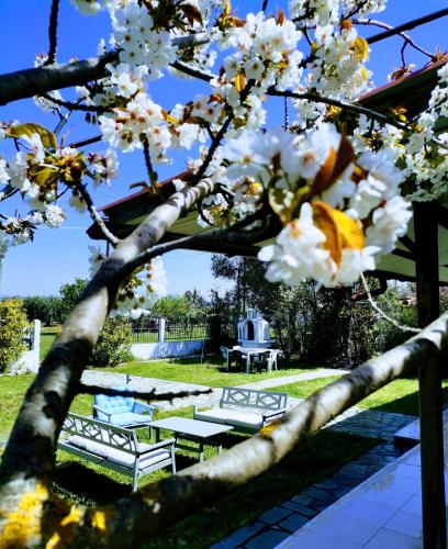 Green Vila Green Vila