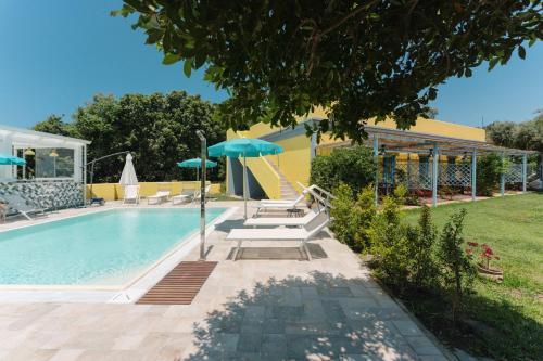 Solcalante - image 7