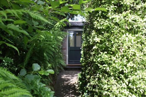 Antonia's Pearls - image 3