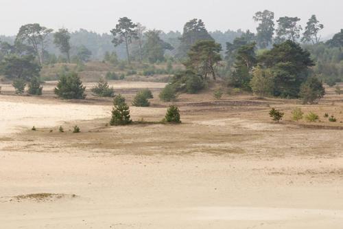 Herberg de Zwaan Elspeet