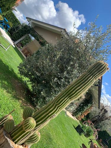 L' Ulivo Bed & Breakfast