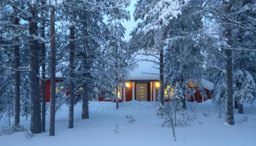 Exterior view, Holiday Villa Tonkokumpu - upea loma-asunto in Syote
