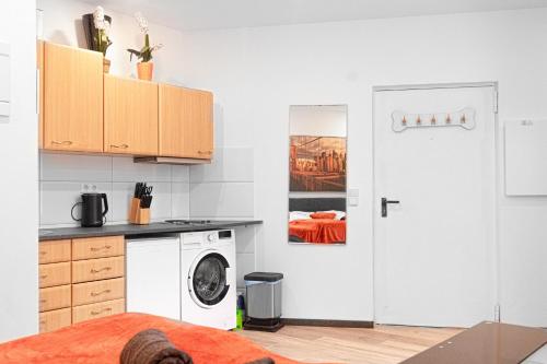 Central King Studio 10 mins walk from Downtown, Vídeň (fotografie 7)