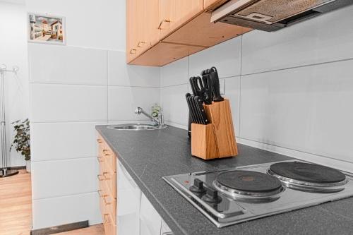 Central King Studio 10 mins walk from Downtown, Vídeň (fotografie 9)