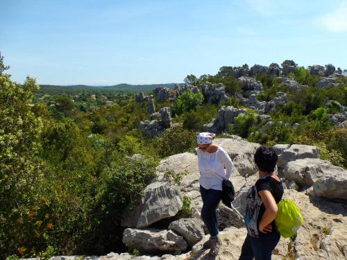 Logis des Magnans -Les terrasses du Coutach -