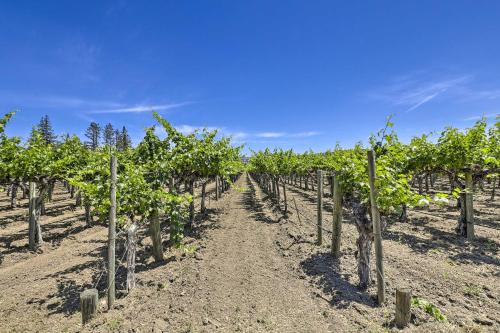 Luxe Wine Country Getaway with Vineyard Views