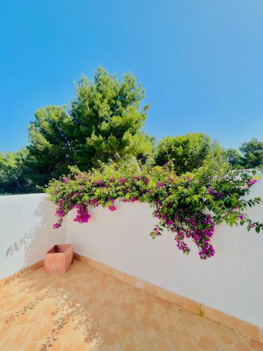 Cala Tarida House gîte à louer Cala Tarida