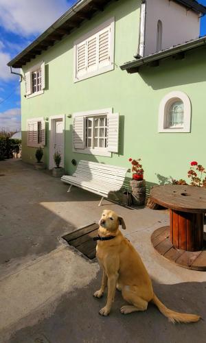 Holiday Home room in Alquiler en la sierra