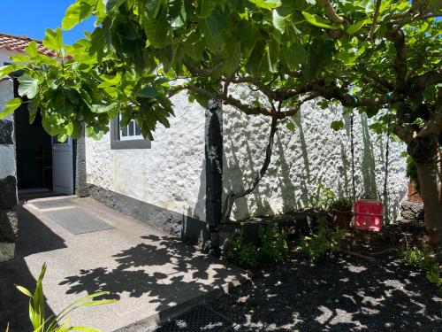 ทางเข้า, Rosa do Canto in กันเดลาเรีย