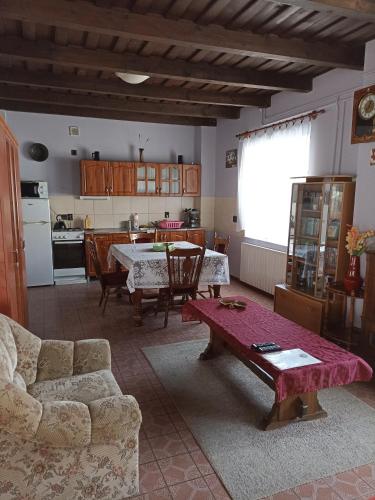 Ginkgo Apartman - Apartment - Demjén