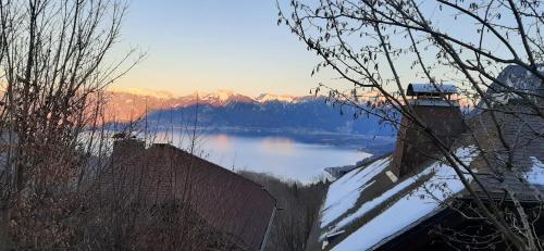 Châlet vue lac Léman à 1000 mètres d altitude