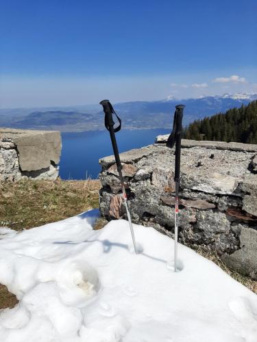 Châlet vue lac Léman à 1000 mètres d altitude