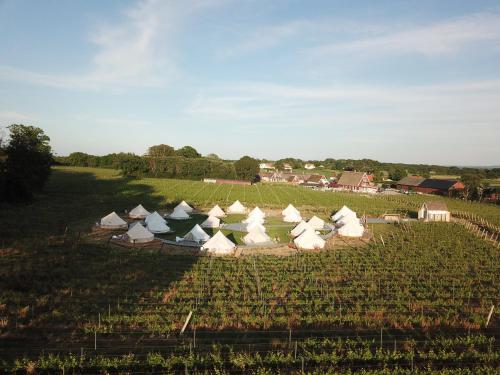 Vingården i Arild (Vingarden i Arild) in Arild