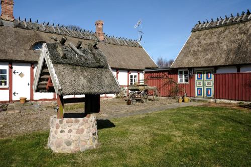Vingården i Arild (Vingarden i Arild) in Arild