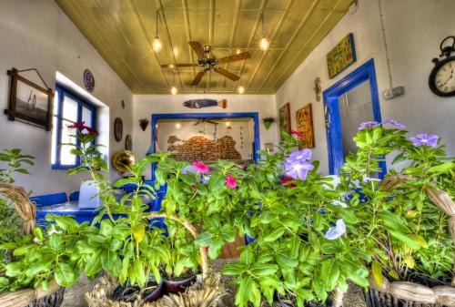 Cunda Mavi Hotel - Tap to explore photos