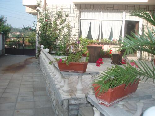 Mania Guest House - image 7